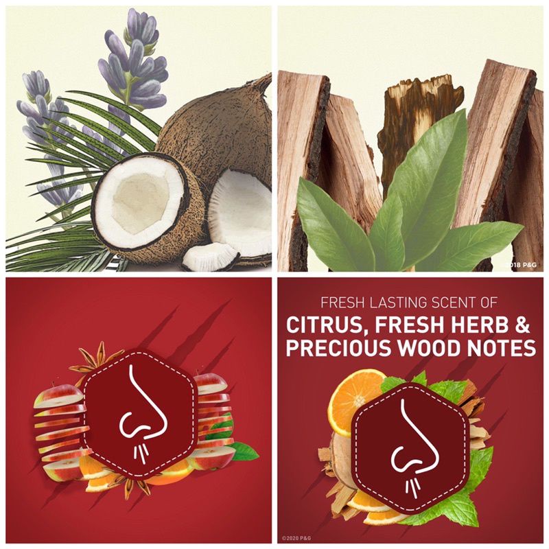 Lăn Sáp Khử Mùi Old Spice BEARGLOVE 73g