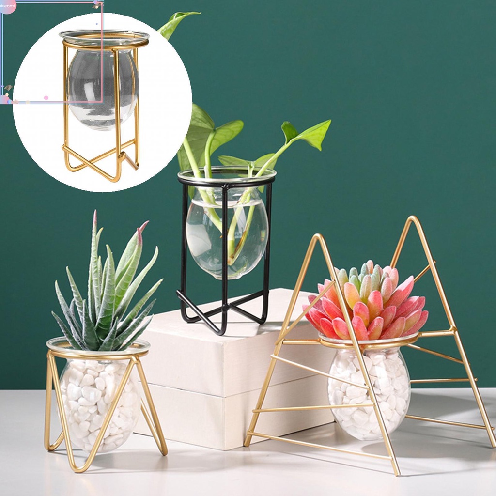 Lọ hoa thủy tinh trong suốt thân thiện với môi trường DIY