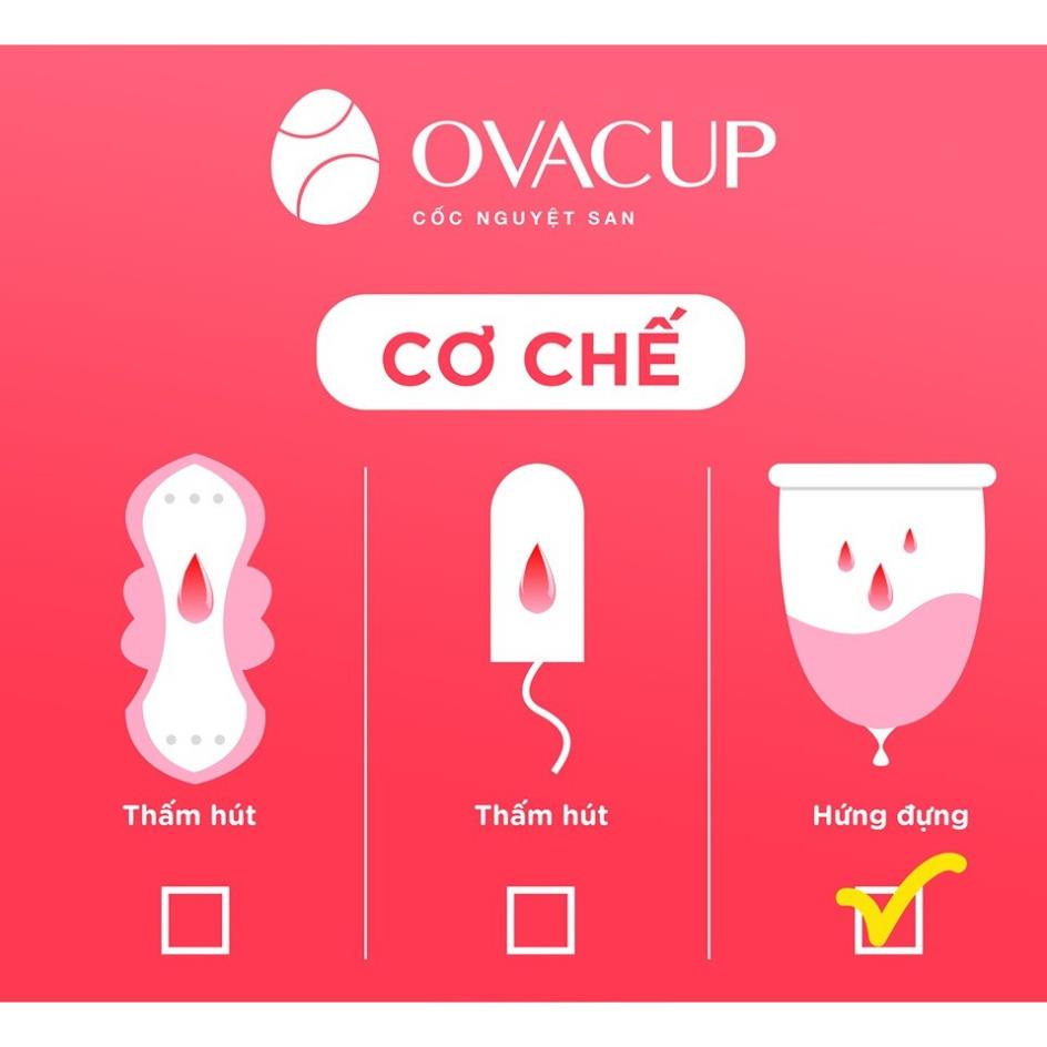 Cốc nguyệt san Ovacup - Hồng - Size S | Rendi Store