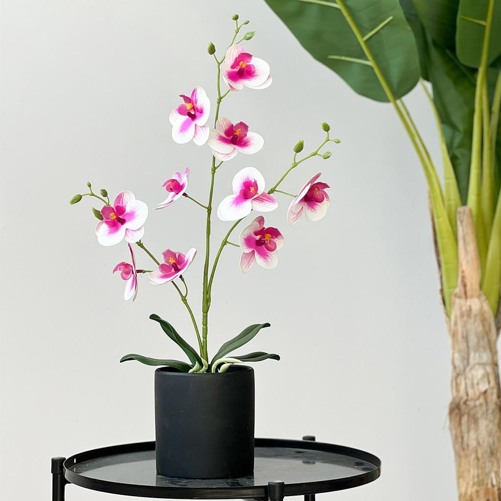 Hoa Nhân Tạo Sang Trọng Trang Trí Nội Thất