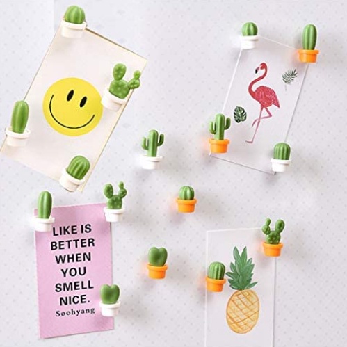 Set 6 Miếng Dán Nam Châm Hình Cây Xương Rồng Mini Dễ Thương Trang Trí Tủ Lạnh/Trường Học/Văn Phòng