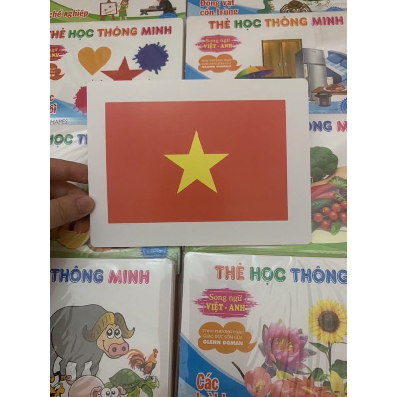 [GIÁ TỐT] Bộ Flashcard về thế giới xung quanh cỡ to, song ngữ Anh-Việt 15 chủ đề đa dạng.