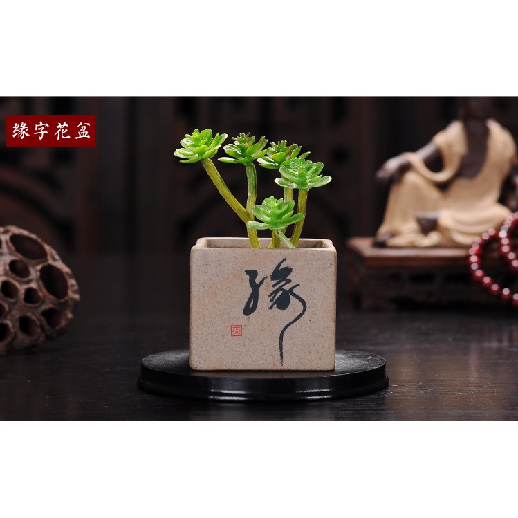 Chậu gốm vuông trồng cây, trồng tiểu cảnh, bonsai