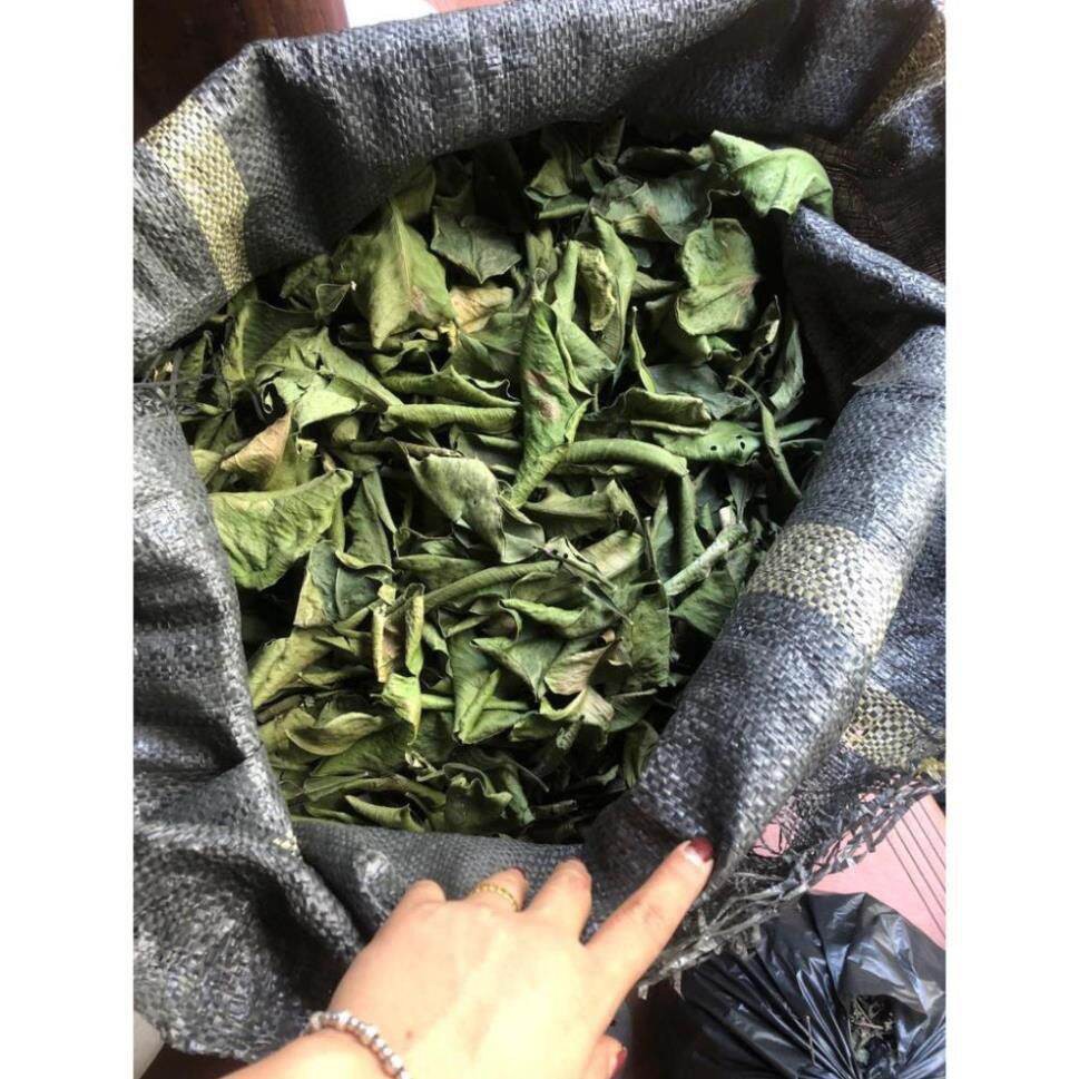 1kg lá bưởi khô giải cảm gội đầu mượt tóc.