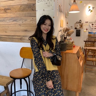 [ORDER] Set đầm họa tiết + gile ulzzang