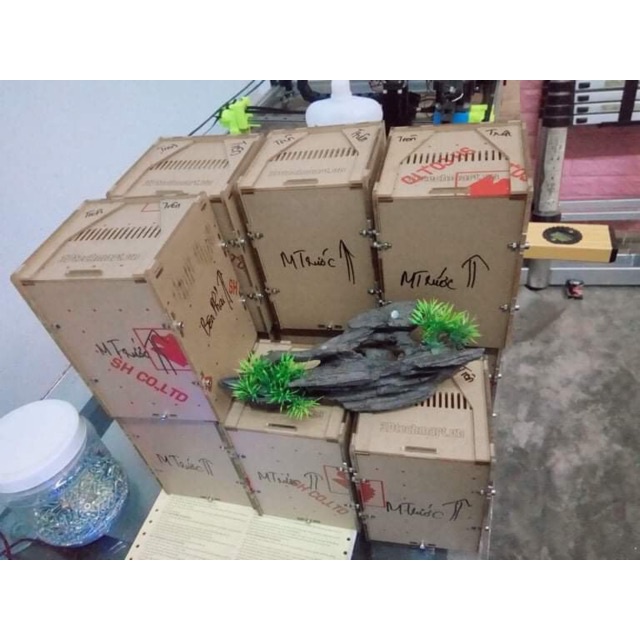 Hộp nuôi nhện cây 10-10-15cm