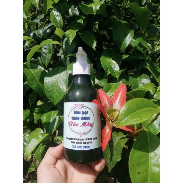 Dầu gội thảo dược Tóc Mây