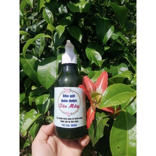 Dầu gội thảo dược Tóc Mây