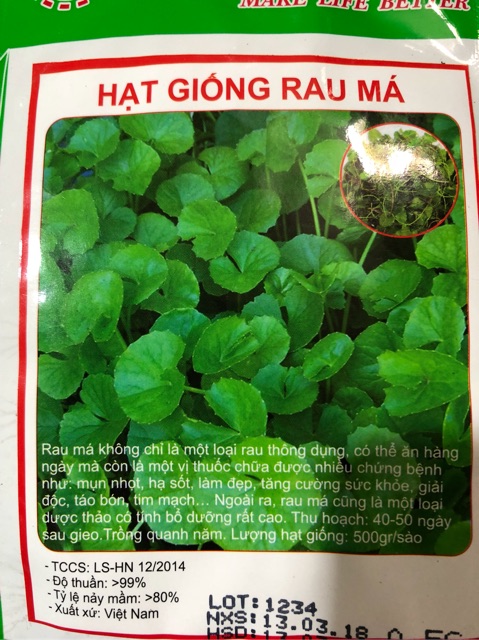 HẠT GIỐNG RAU MÁ CAO SẢN