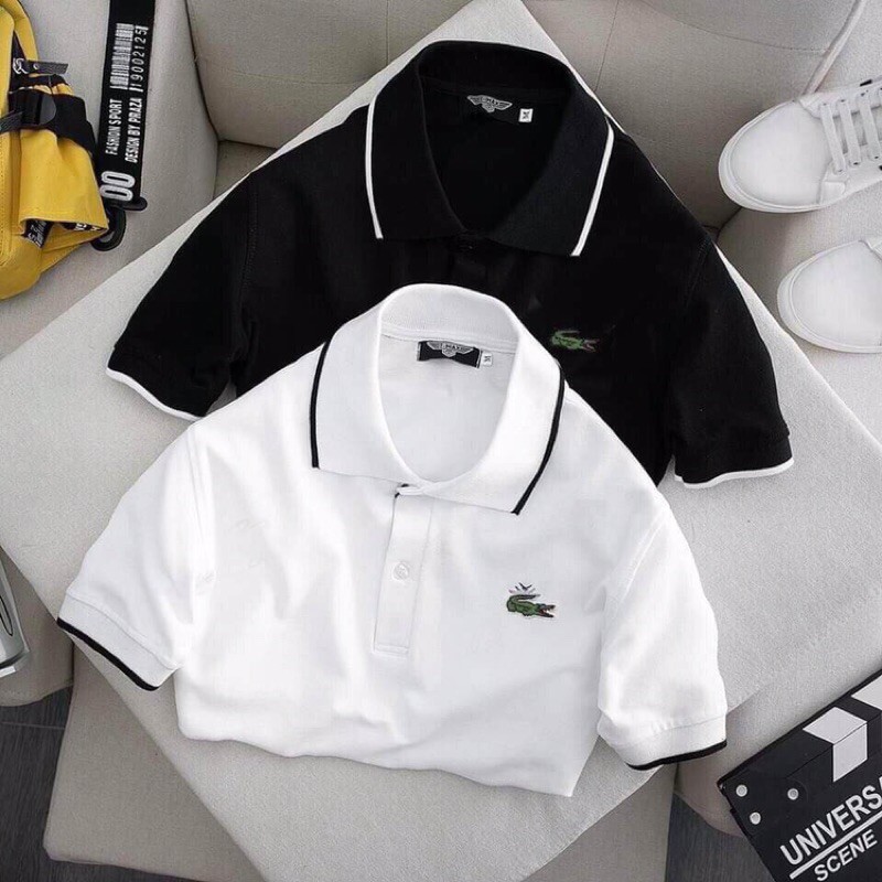 Áo polo trắng nam cá sấu cao cấp vải thun mát mẻ co giãn | BigBuy360 - bigbuy360.vn