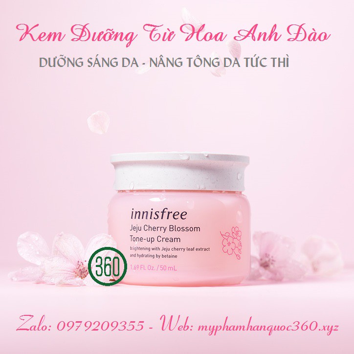 Kem Dưỡng Sáng Nâng Tone Da Từ Hoa Anh Đào Innisfree Jeju Cherry Blossom Tone Up Cream 50ml