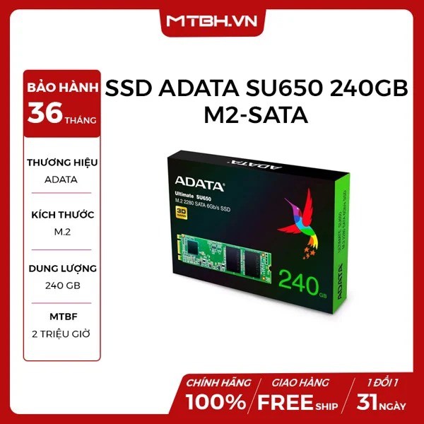 Ổ CỨNG SSD ADATA SU650 240GB M2-SATA