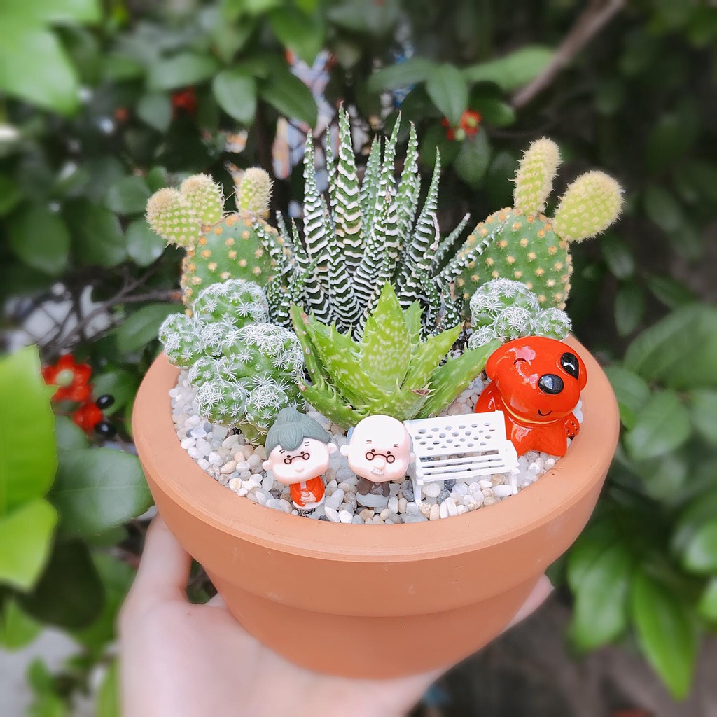 SET SEN ĐÁ TIỂU CẢNH TỰ MIX, QUÀ TẶNG BAO GỒM SEN ĐÁ, XƯƠNG RỒNG, TIỂU CẢNH, CHẬU, ĐẤT TRỒNG, ĐÁ