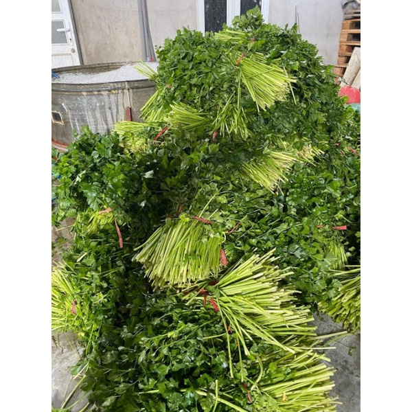 Bột Cần Tây Nguyên Chất Sấy Lạnh Công Nghệ Đức Từ Đà Lạt Farm Thanh Lọc Cơ Thể  (sp1354533)