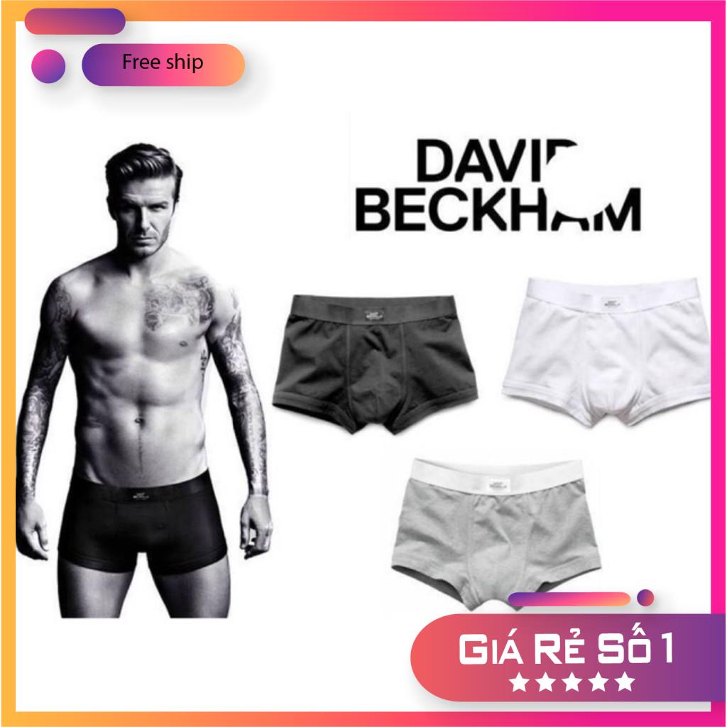 Hộp 3 Quần Sịp đùi Nam HM - Quần Lót Nam boxer HM Quần Lót Nam