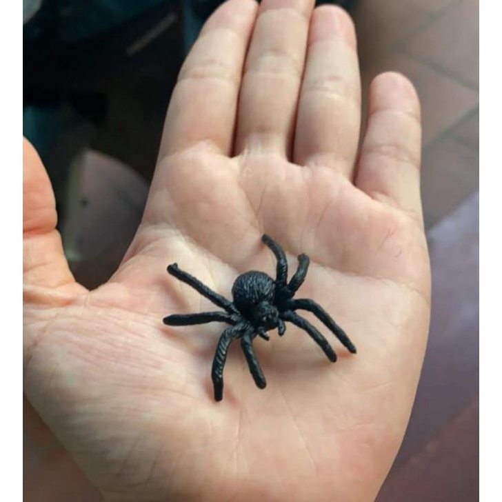 Con nhện giả trang trí halloween /phụ kiện trang trí hallowen