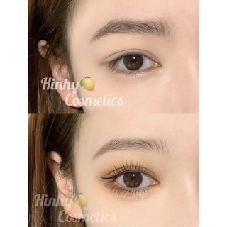 Phấn Mắt Canmake Silky Màu 05