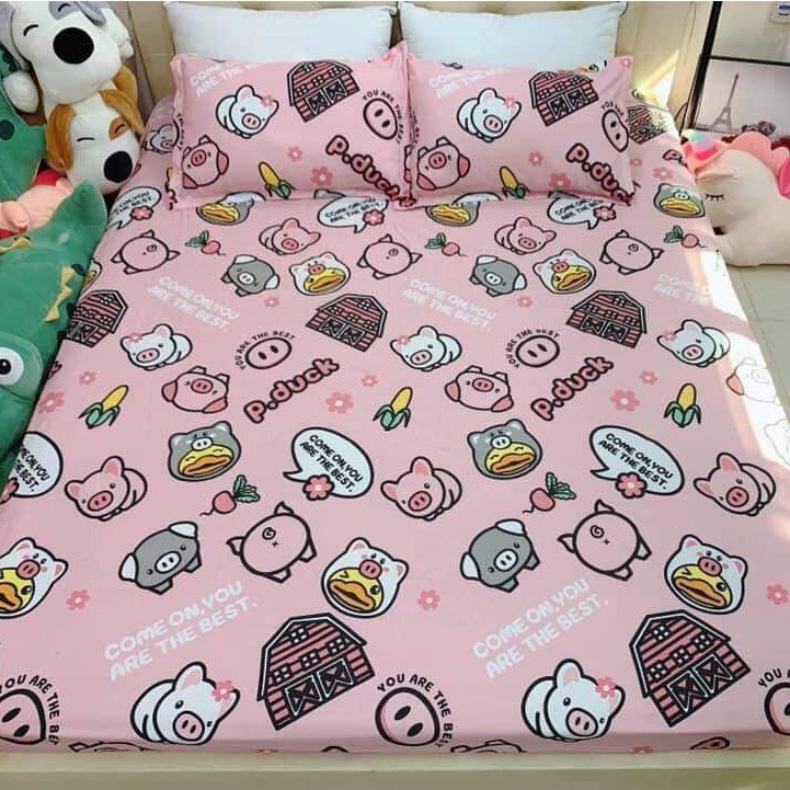 Bộ ga gối poly cotton mẫu sao đêm, sét gồm 1 ga chun và 2 áo gối