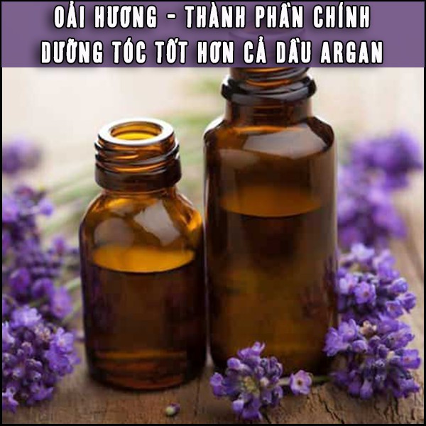 Dầu dưỡng tóc xoăn, khô &amp; siêu khô từ Oải Hương mướt mềm, định hình nếp, bảo vệ màu tóc QUÊ MỘT CỤC 50ml (handmade