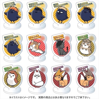 [SẴN-SUMMER 95’] Pack random mini standee Haikyuu !!
