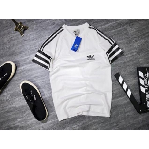 Album 115 - ÁO THUN COTTON THỂ THAO CAO CẤP VNXK VIỀN