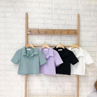 Áo croptop trơn cổ đức nhiều màu
