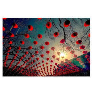 Đèn Lồng Trang Trí Tết Nilon Đỏ Siêu Dày Chống Nước - nhiều size nhiều màu MARSS078