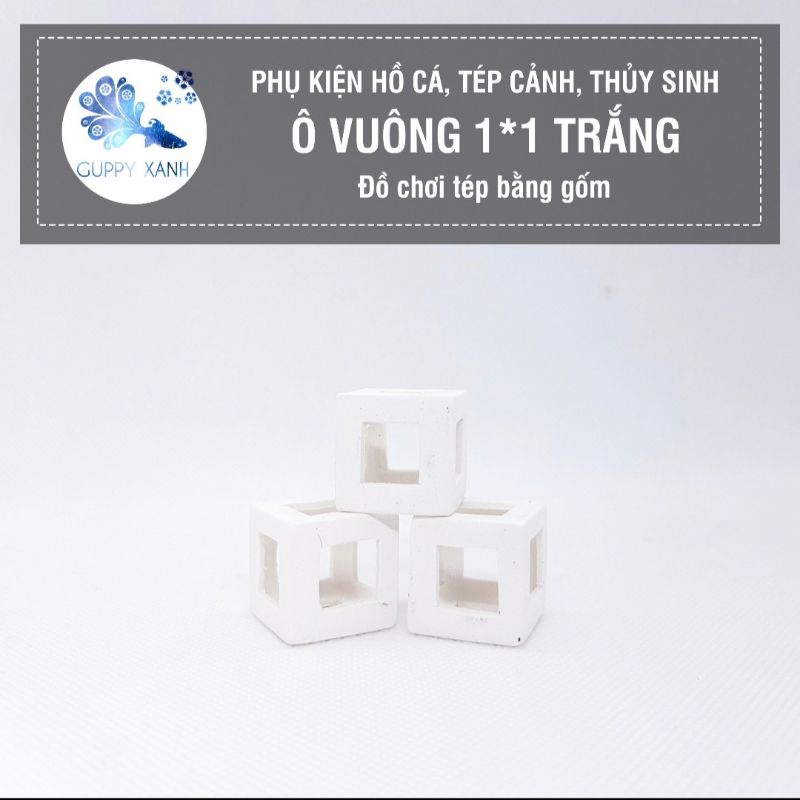 Ô Vuông - Đồ chơi cho tép - Gốm nung trang trí cho thủy sinh - Hồ Cá -