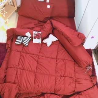 Sét trần phao cotton citi