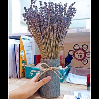 Bình/lọ hoa khô Lavender Pháp