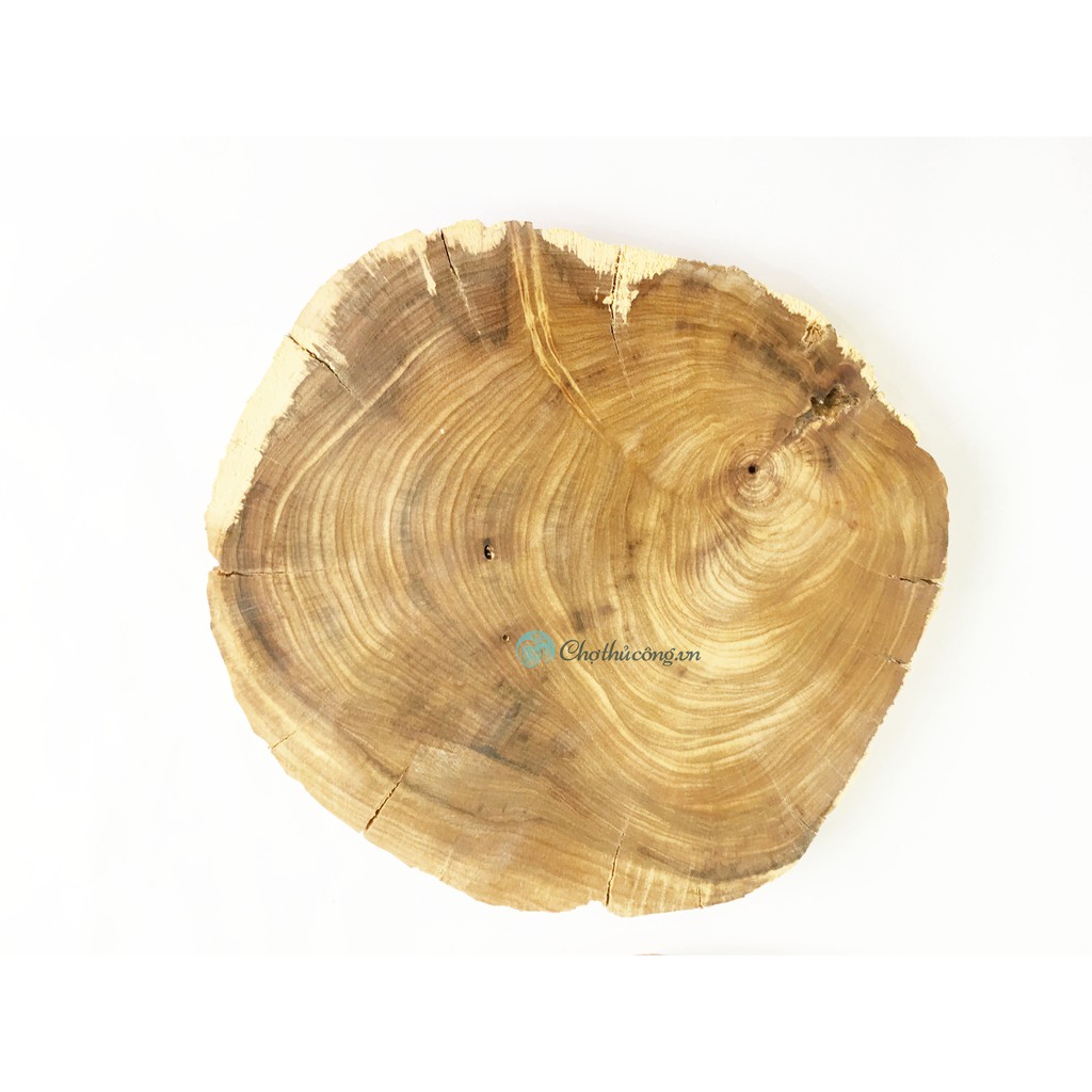 Khoanh gỗ lũa size to gỗ me tây / bình linh dùng trang trí, decor vintage, chụp ảnh KT 18-25cm (dày 2.5-3cm)