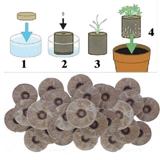 Combo 100 viên nén xơ dừa ươm hạt