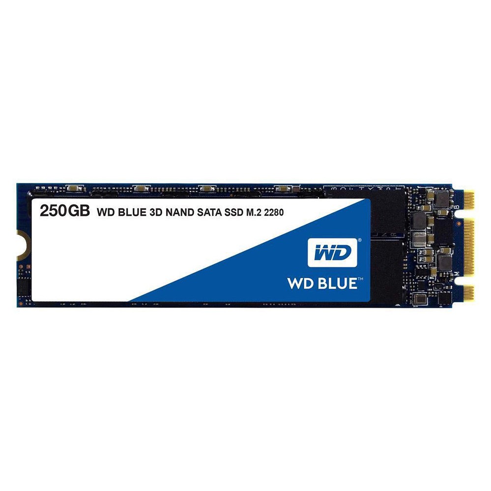 Ổ cứng SSD Western Digital WD Blue 250GB M.2 2280 SATA 3-WDS250G2B0B