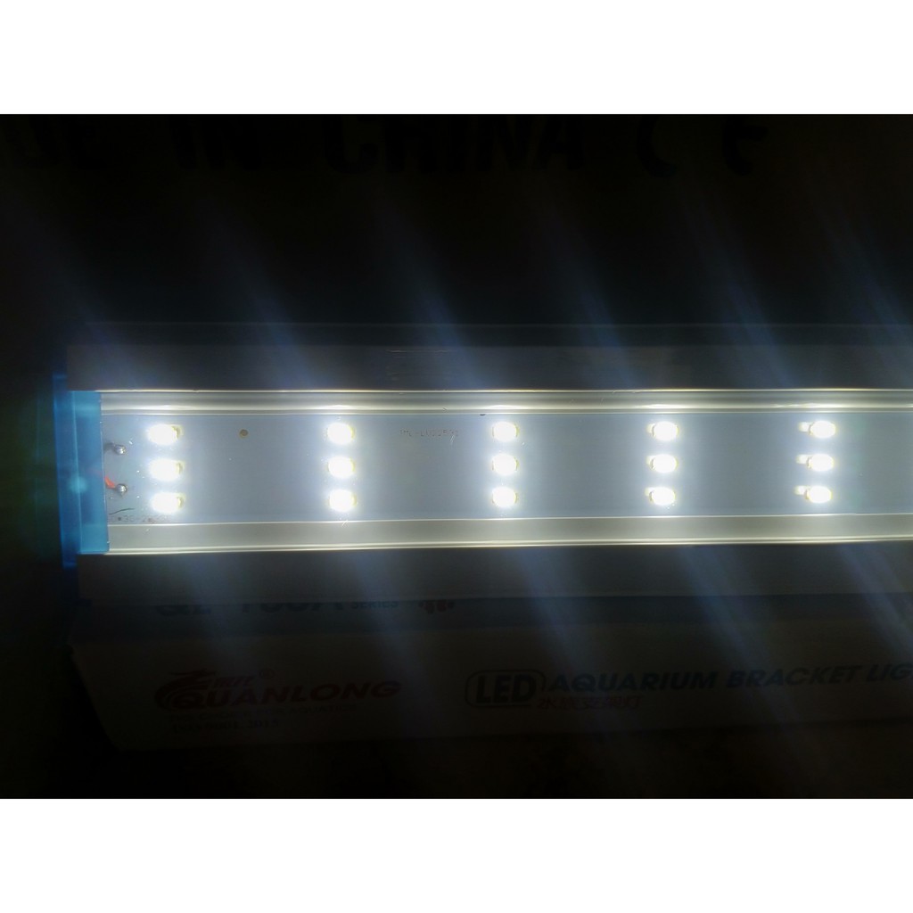 Đèn Led trắng và màu QUANLONG 100cm, phiên bản cải tiến.