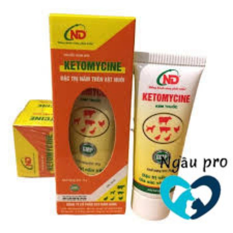 Thuốc bôi trị nấm, viêm da ghẻ chó mèo KETOMYCINE tuýp 25gr