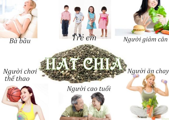 Hạt Chia giải pháp giảm cân chăm sóc sức khỏe Nutiva Chia Seed