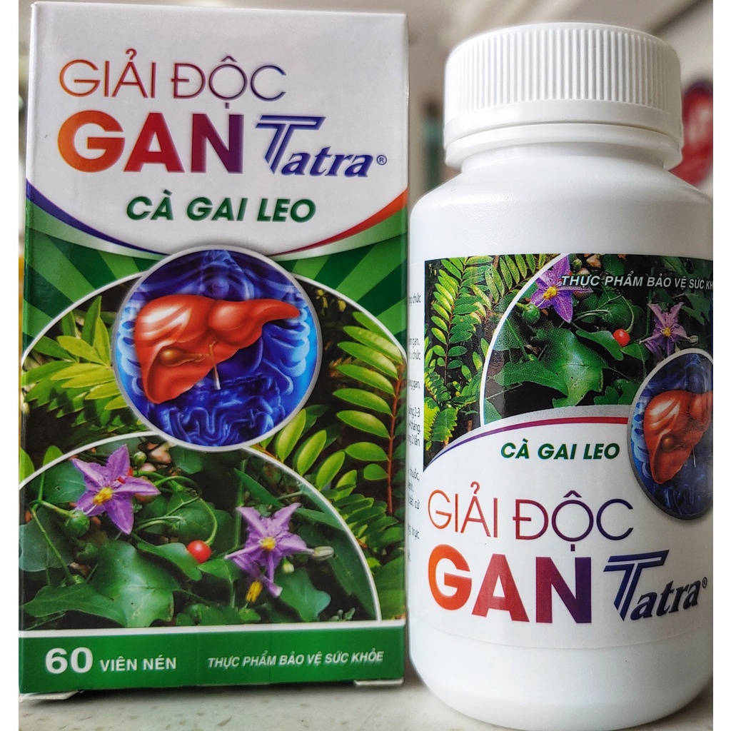 GIẢI ĐỘC GAN TATRA - Cà gai leo