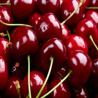 CÂY GIỐNG CHERRY