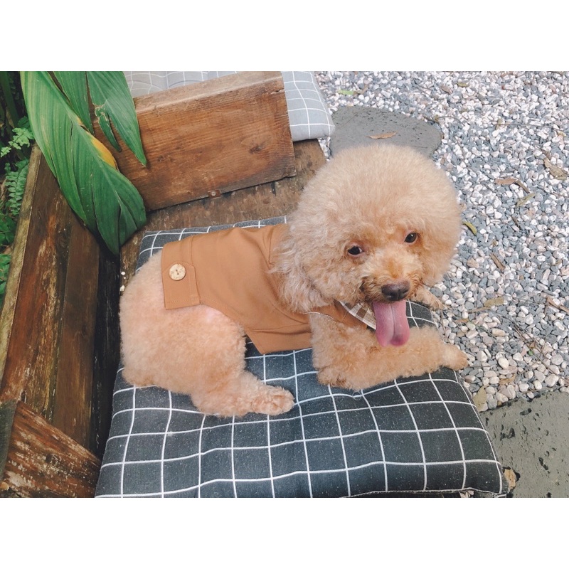Áo khoác gile kaki nâu phối kẻ chó mèo