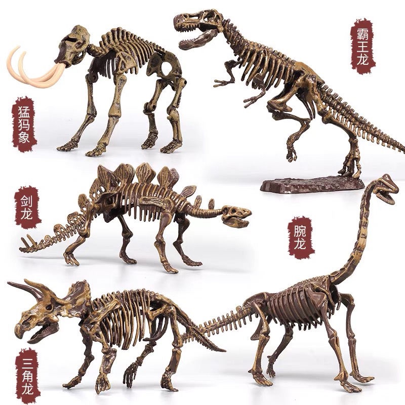 Hóa thạch khủng long trẻ em Mô hình bộ xương Tyrannosaurus rex Sản xuất thủ công DIY của Đồ chơi khai quật khảo cổ học c