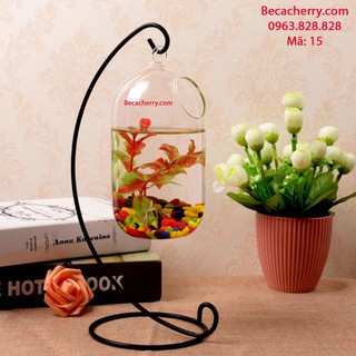 Bể cá mini C33 -15 (bình dưa 20cm)