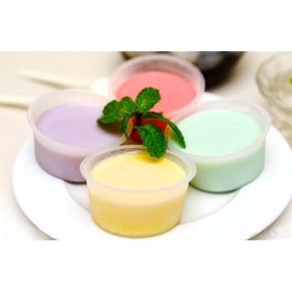 Pudding Socola GTP 1kg