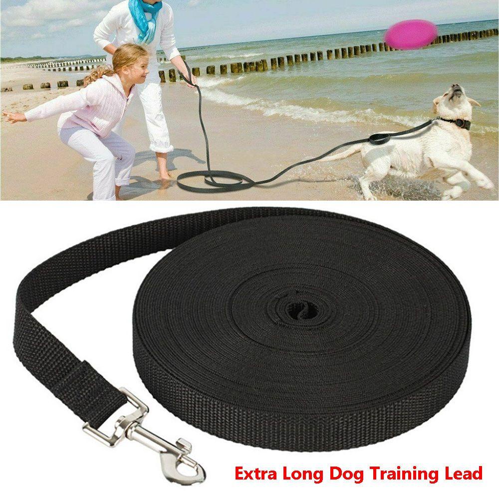 LET Dây Dắt Thú Cưng Đi Dạo Bằng Nylon Nhiều Màu