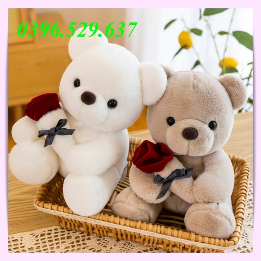 Gấu Bông Teddy Quà Tặng Gấu Bông Ôm Hoa Siêu Mềm Mịn Hàng Cao Cấp An Toàn Cho Gia Đình