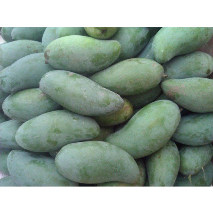 Xoài Thái- Quả To Thơm Ngon giao Hỏa Tốc