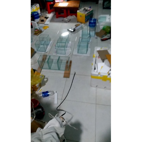Hồ Cá Betta 15.10.15