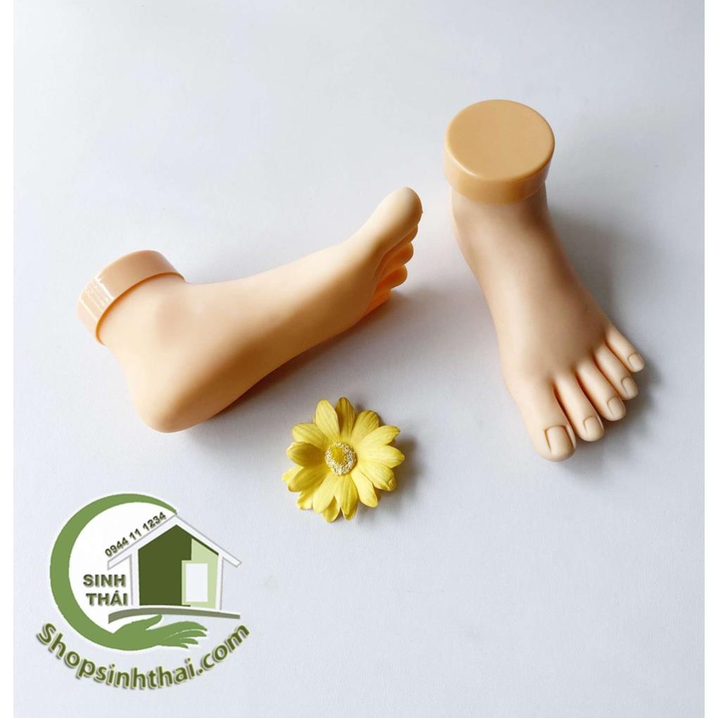 Bàn chân giả bằng silicon, học làm móng, nail, sơn vẽ
