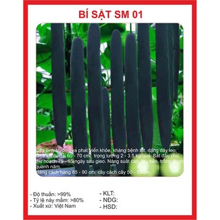 Hạt giống bí xanh dài ( bí sặt ) - Gói 30 Hạt