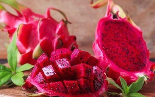 3 cây giống thăng long đỏ
