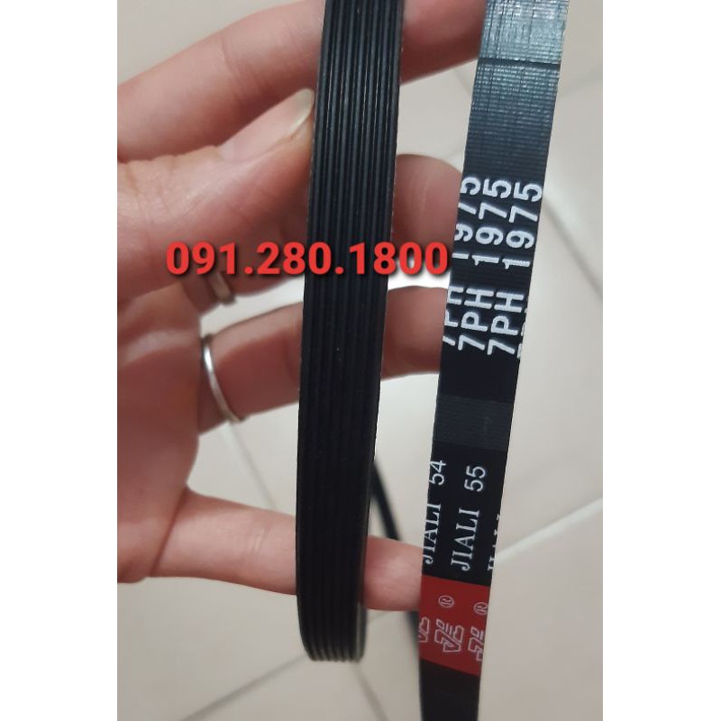 Dây curoa máy sấy Electrolux 7PH 1975